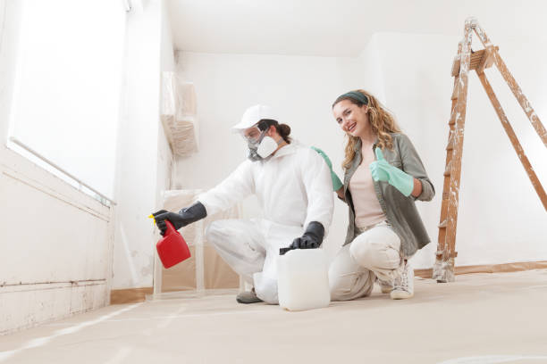 Horseheads North, NY Mold Removal Company